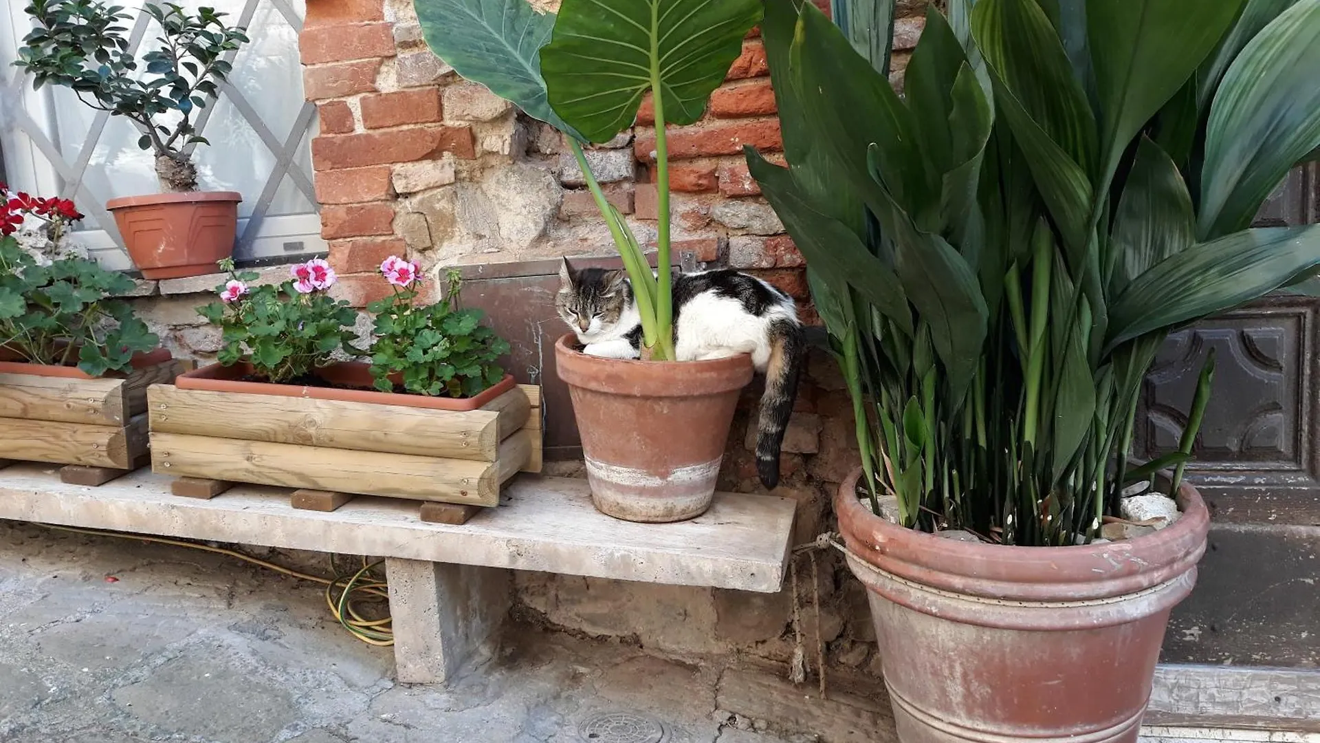 Apartamento Anita Hh Montemerano
